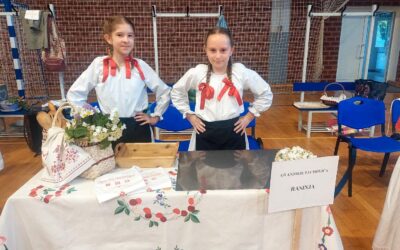 Učenice naše škole uspješne na Virovskoj prkačijadi